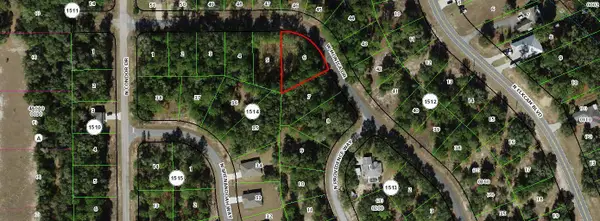11894 N Monica Drive, ,, FL 34433