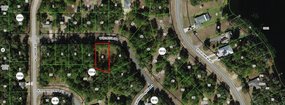 11902 N Monica Drive, Citrus Springs, FL 34433 - #1