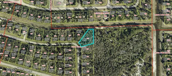 651 Lydia Street, Lehigh Acres, FL 33974