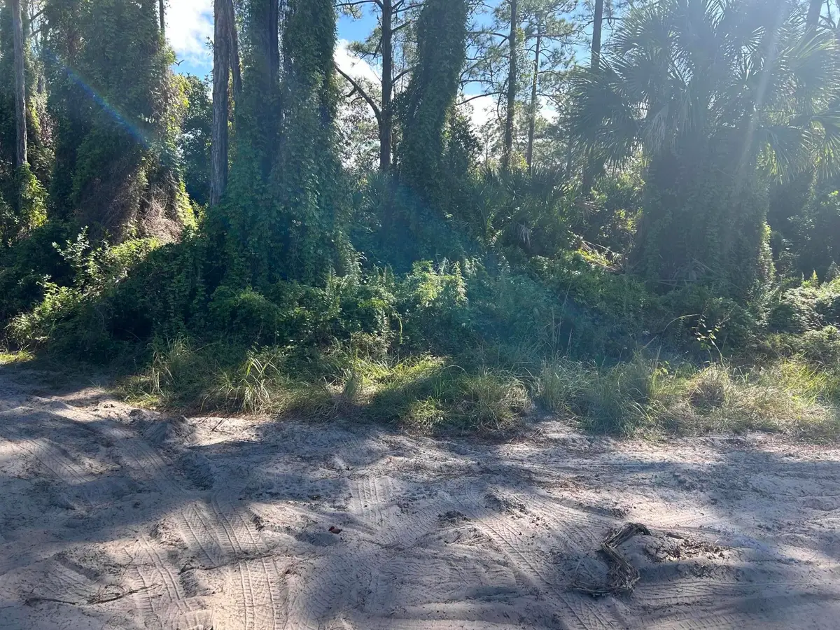 0 Slash Pine Trail, Fort Pierce, FL 34945 - #1