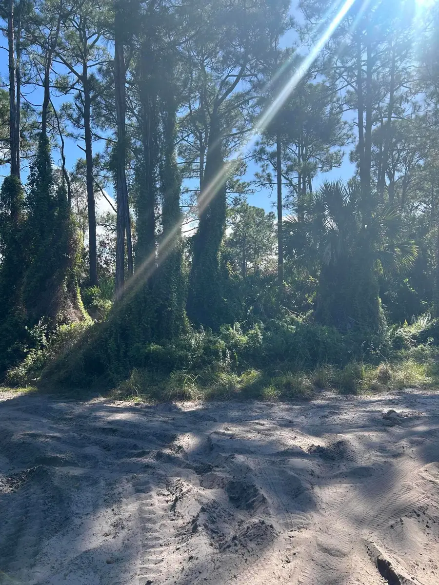 0 Slash Pine Trail, Fort Pierce, FL 34945 - #3