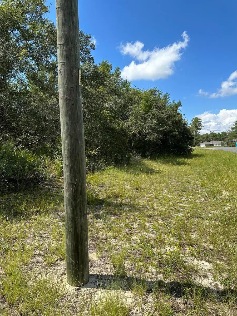 0000 SW 168th Loop, Marion Oaks, FL 34473 - #3