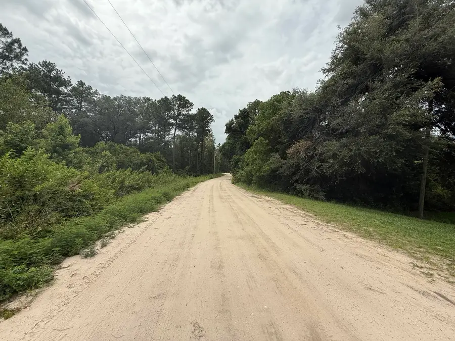 129 Fishermans Drive, Interlachen Florahome, FL 32148 - #3