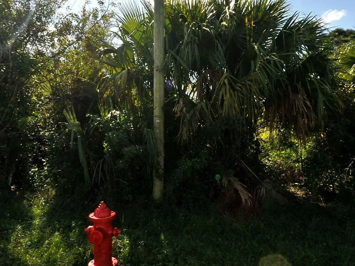 884 SW Mccoy Avenue, Port Saint Lucie, FL 34953 - #1
