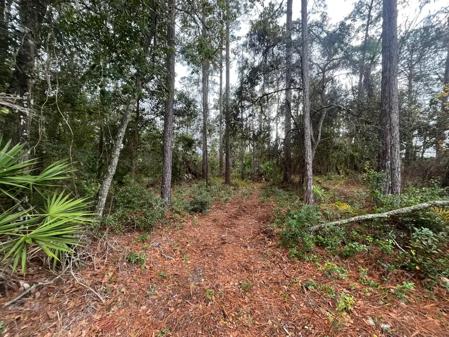Tbd Susan Street, Interlachen, FL 32148 - #3