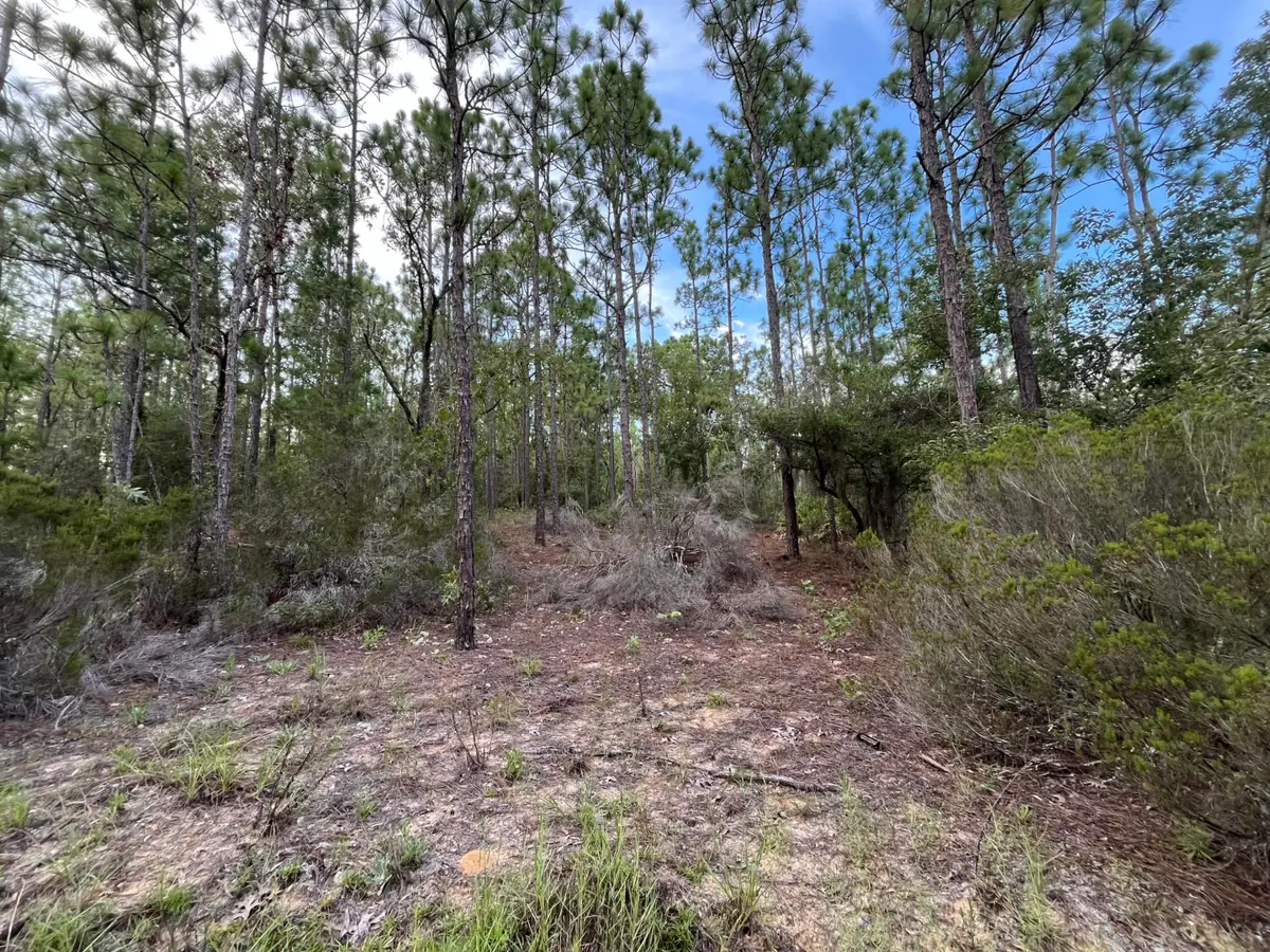 124 New York Avenue, Interlachen Florahome, FL 32148 - #1