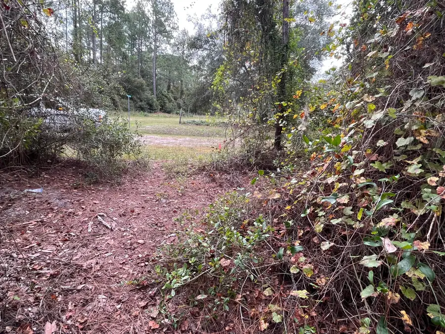 108 SE 5th Street, Georgetown, FL 32139 - #2
