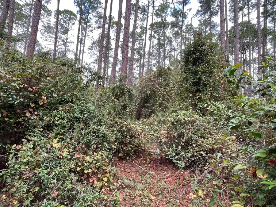 108 SE 5th Street, Georgetown, FL 32139 - #3