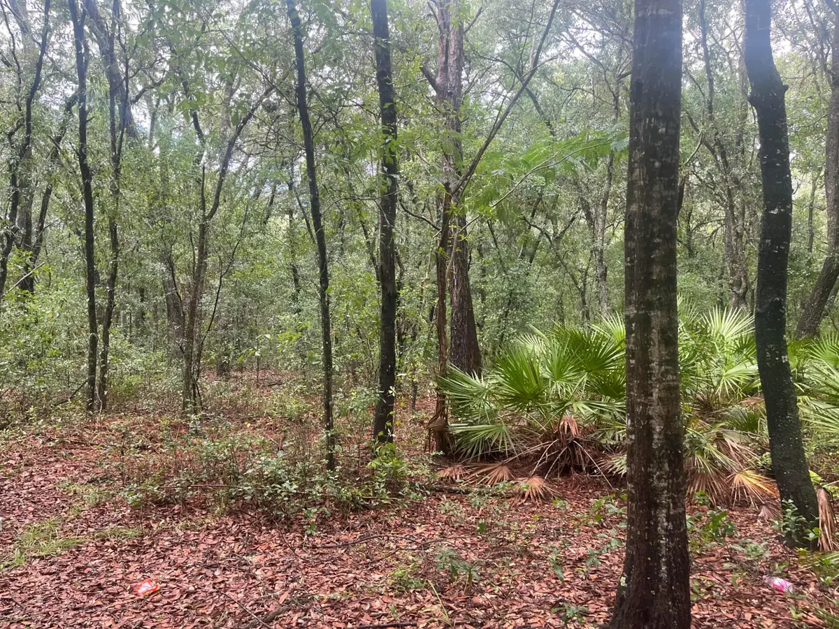 Tbd Delaware Avenue, Interlachen Florahome, FL 32148 - #1
