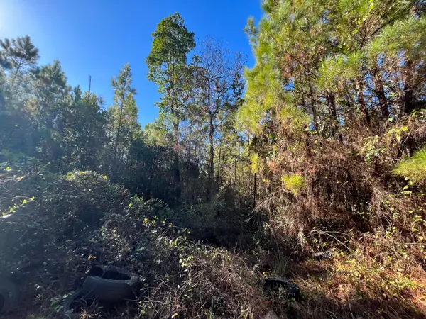 223 Mourning Dove Road, ,, FL 32189