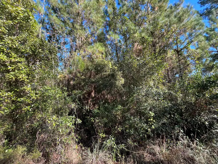 223 Mourning Dove Road, Satsuma, FL 32189 - #3