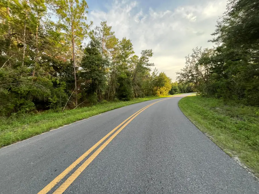 Tbd Twin Lakes Road, Interlachen Florahome, FL 32148 - #2