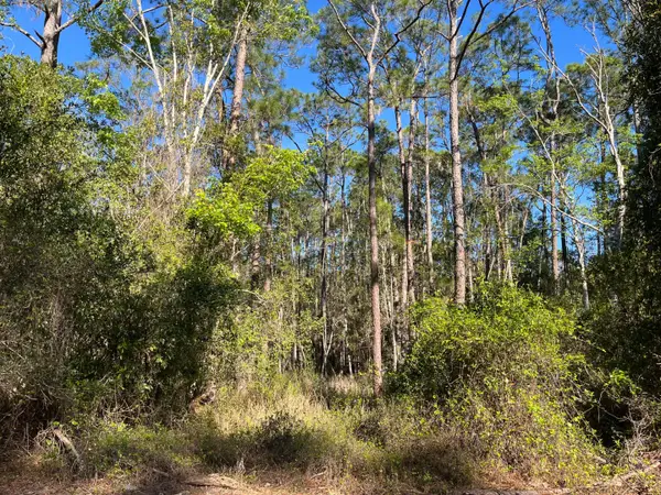 208 SE 3rd Street, ,, FL 32139