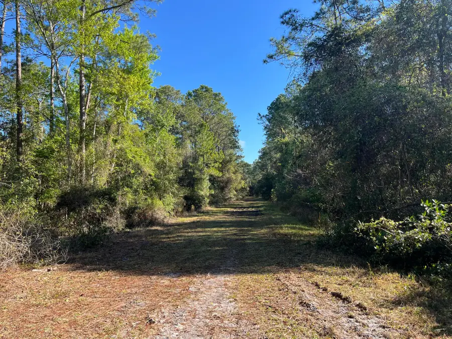 208 SE 3rd Street, Georgetown, FL 32139 - #2