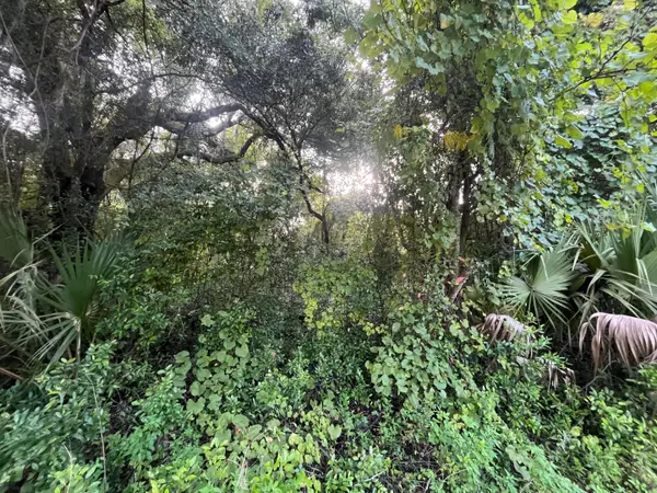 915 Annette Avenue, ,, FL 32148