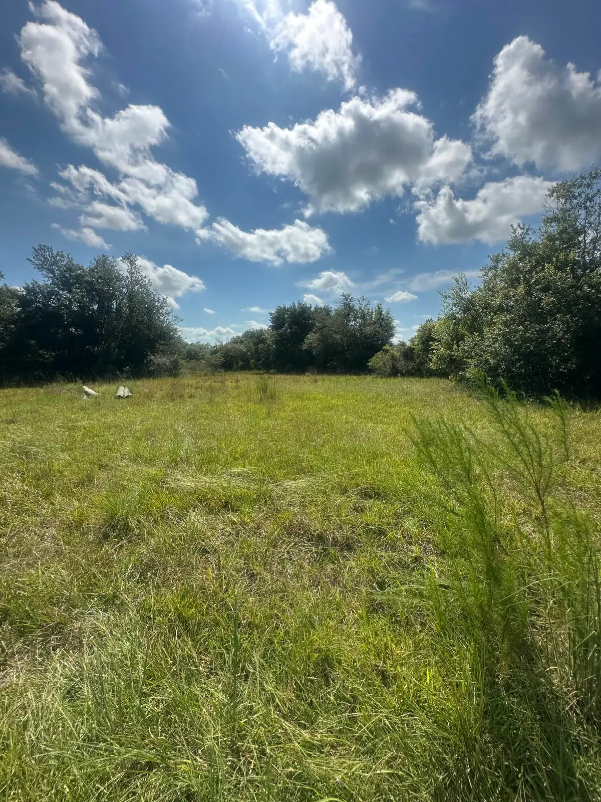 22128 NW 258th Street, Okeechobee, FL 34972 - #1