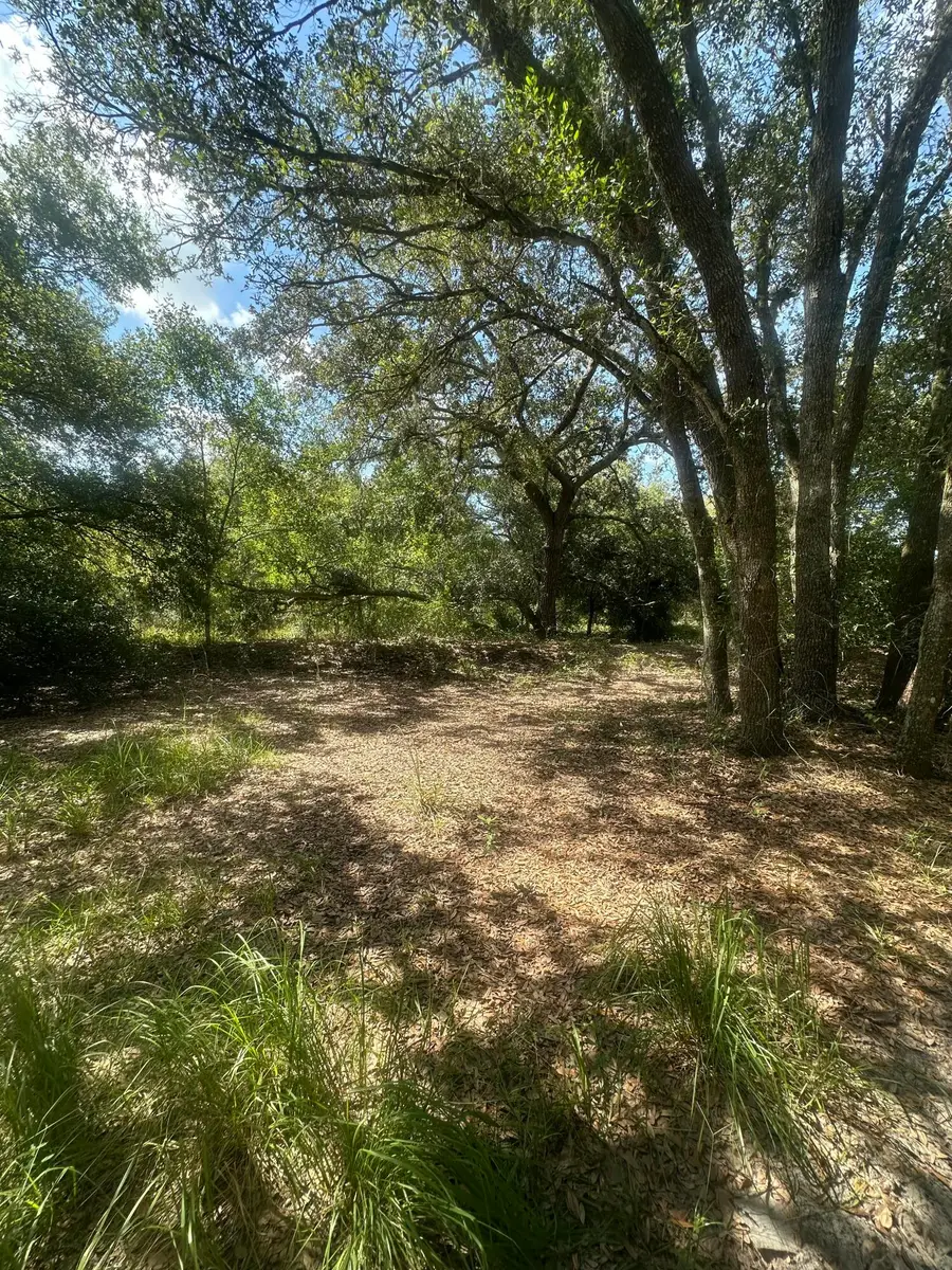 22128 NW 258th Street, Okeechobee, FL 34972 - #2
