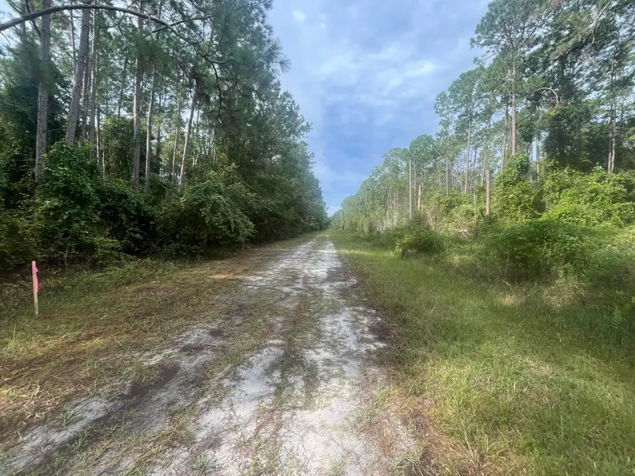223 SE 2nd Street, Georgetown, FL 32139 - #3