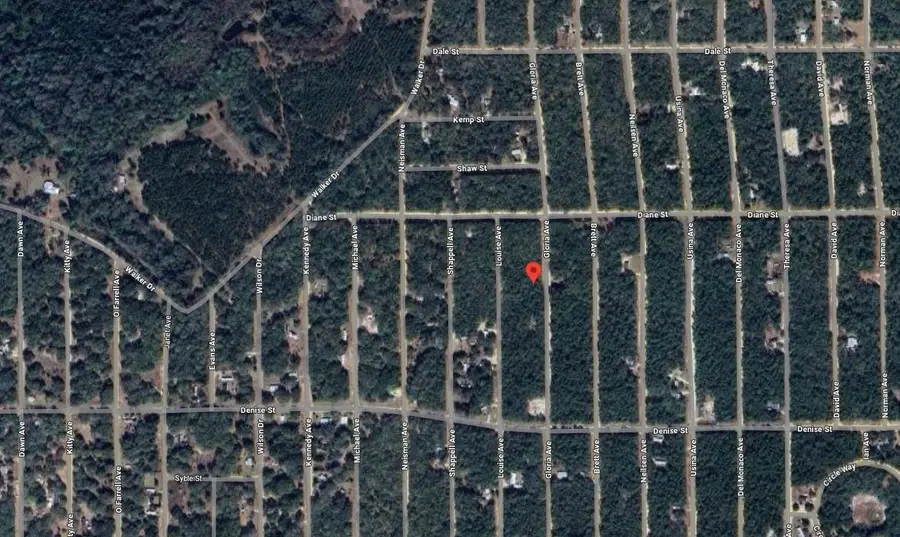 523 Gloria Avenue, Interlachen Florahome, FL 32148 - #3