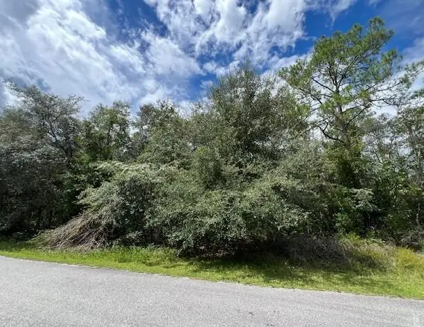 6252 N Cavalier Terrace, Pine Ridge, FL 34433 - #1