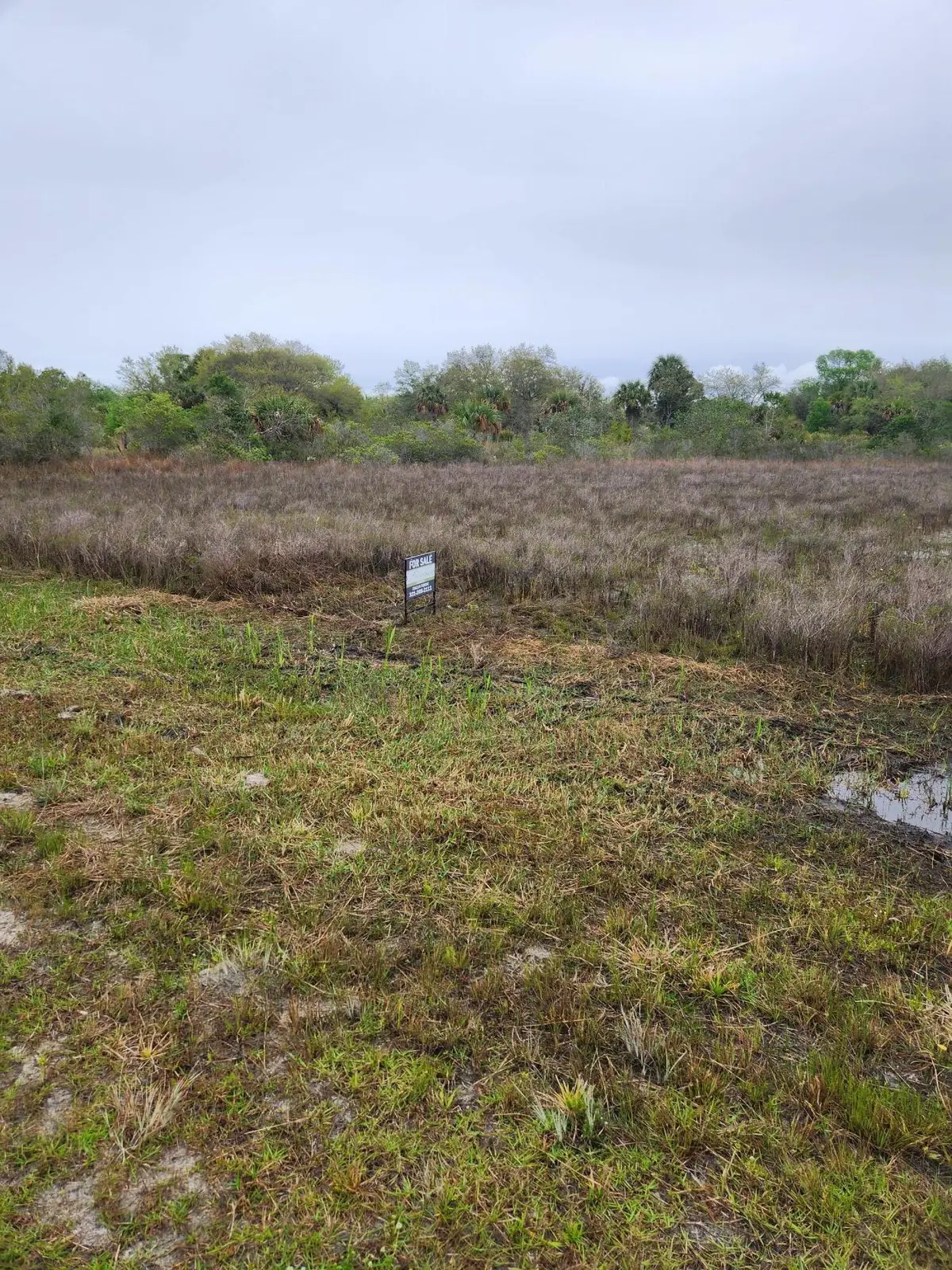 15679 NW 296th Street, Okeechobee, FL 34972 - #1