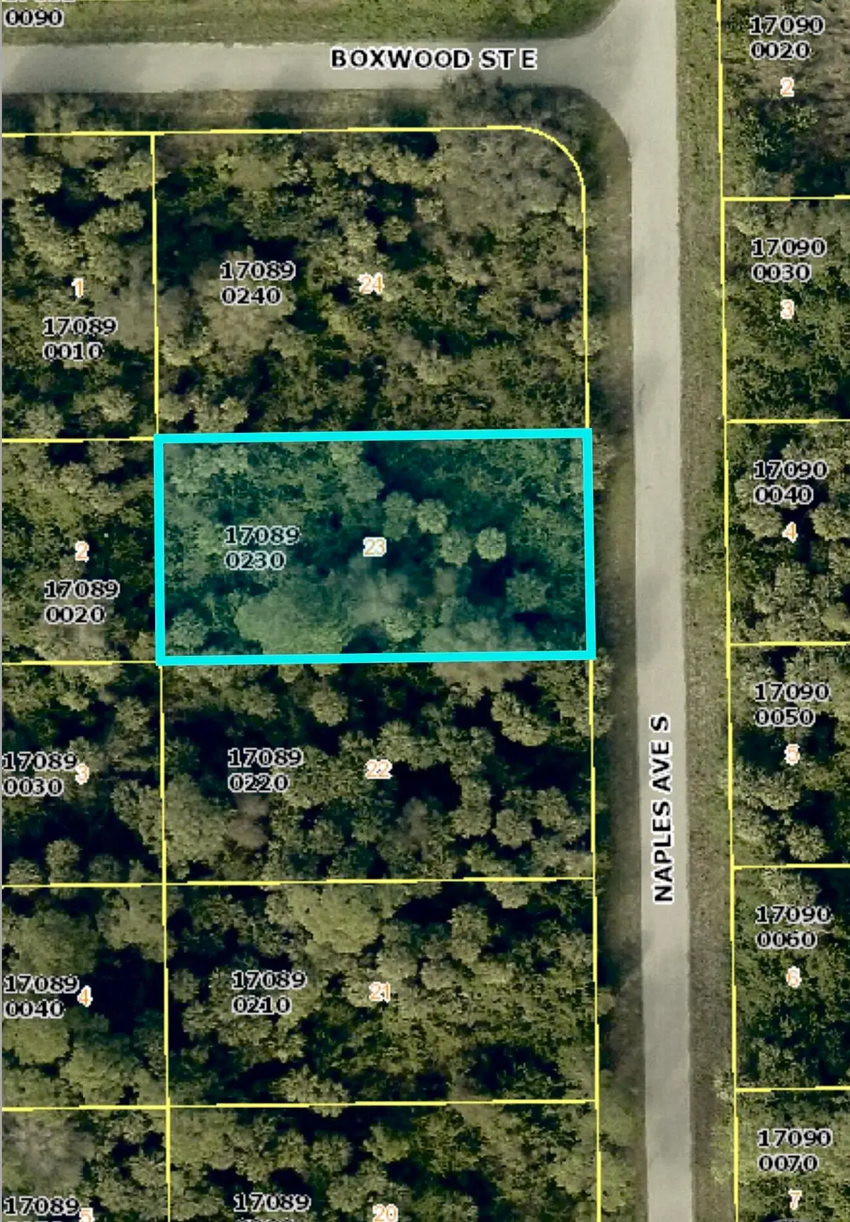 636 Naples Avenue S, Lehigh Acres, FL 33974 - #1
