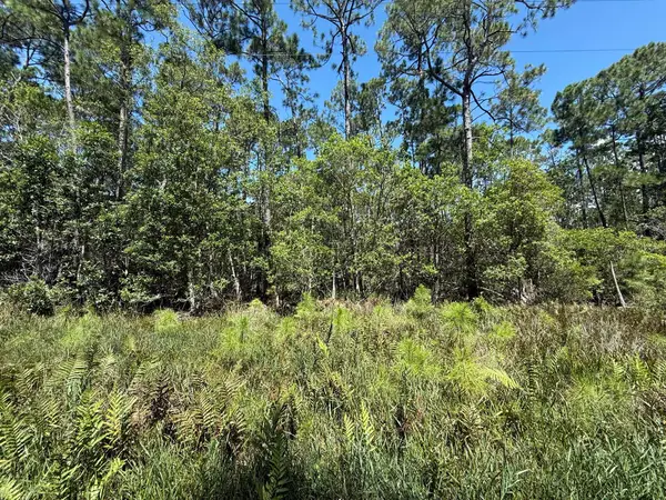 210 SE 2nd Street, ,, FL 32139