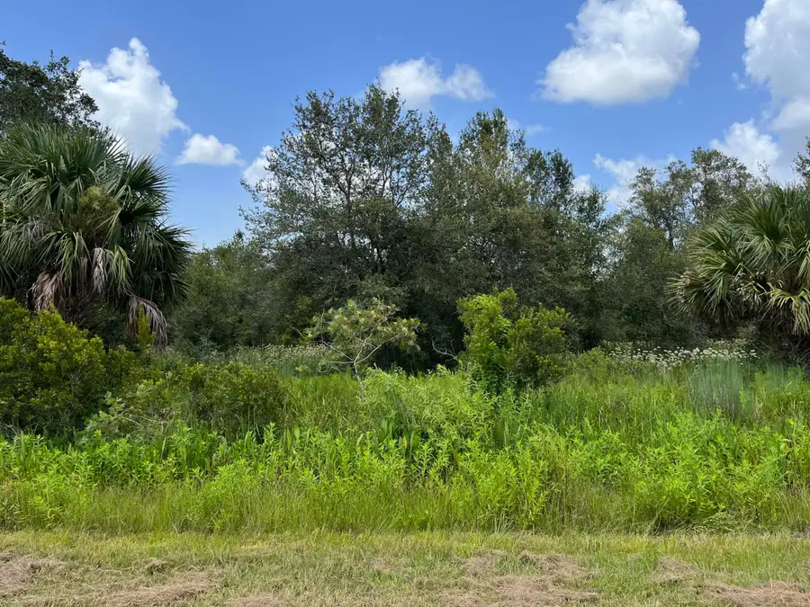 17915 NW 290th Street, Okeechobee, FL 34972 - #3