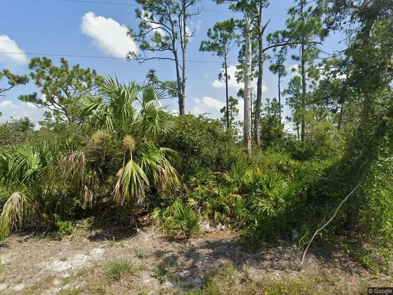 33438 Walnut Drive, Punta Gorda, FL 33982 - #1