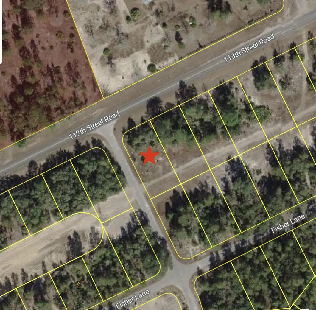 0 Tbd 113th Street Lot 1 Road, Silver Springs Shores East, FL 32179 - #1