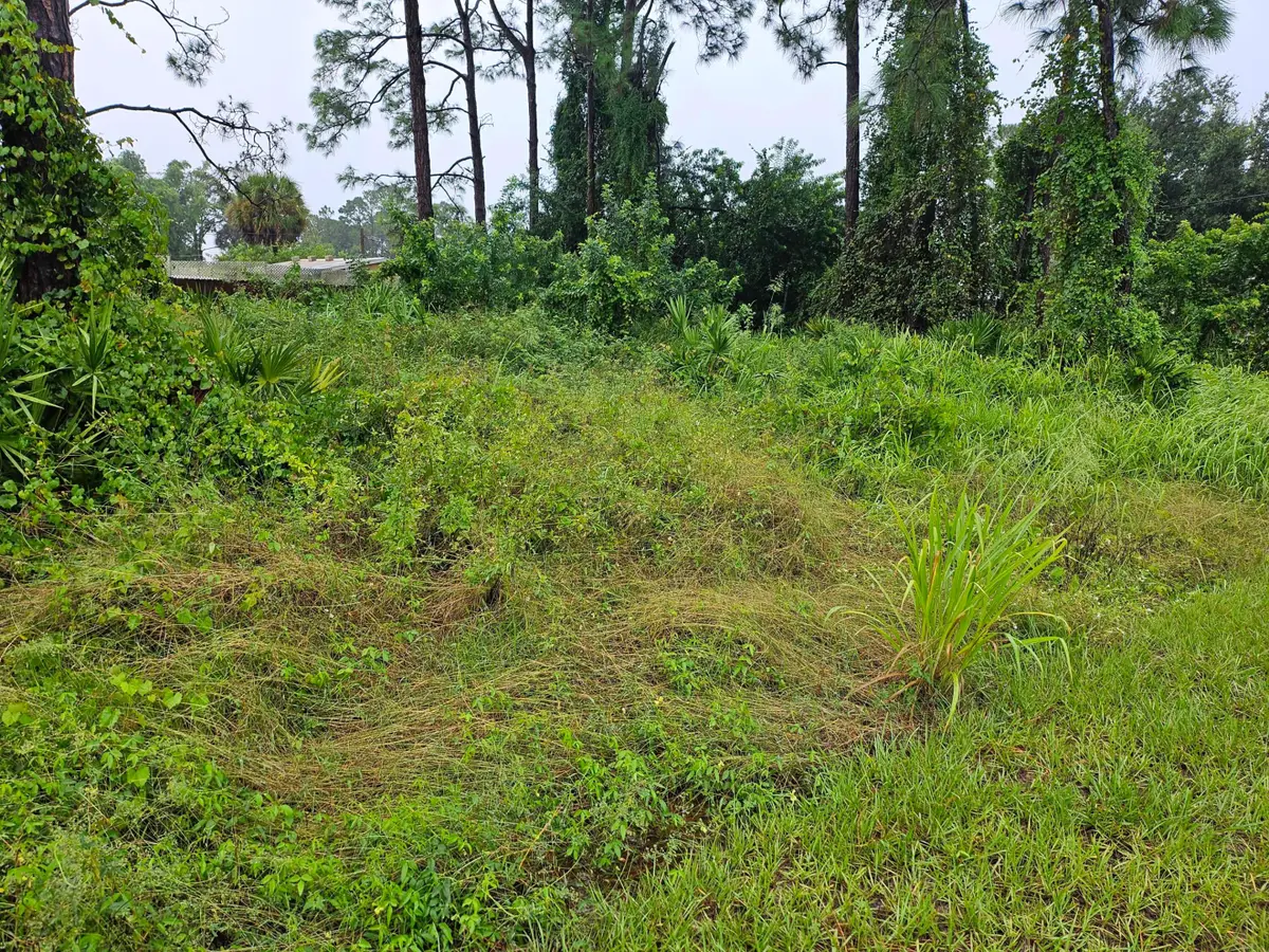 259 Hilliard Road Nw, Palm Bay, FL 32907 - #1