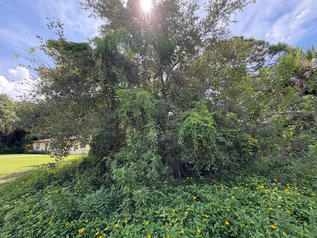 Tbd Santa Clara Boulevard, Lakewood Park, FL 34951 - #1