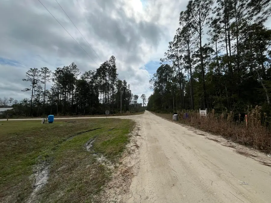 215 Royal Avenue, Interlachen Florahome, FL 32148 - #3