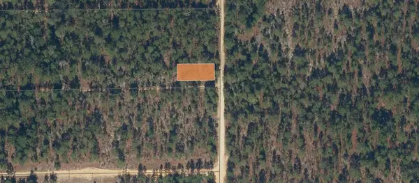 175 Park Avenue, ,, FL 32148