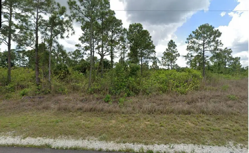 1003 Hines Avenue, Lehigh Acres, FL 33920 - #1
