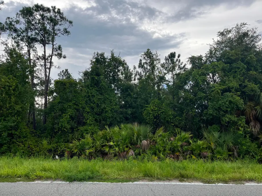 6883 St Johns Avenue, Palatka, FL 32177 - #3