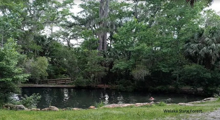 208 Garrison Avenue, Georgetown, FL 32139 - #3