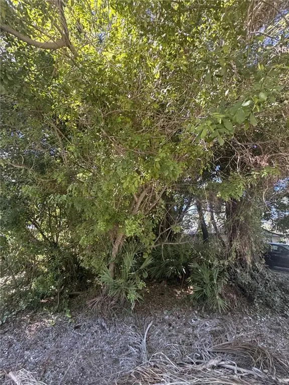 1115 15th Avenue Sw, Vero Beach, FL 32962 - #1