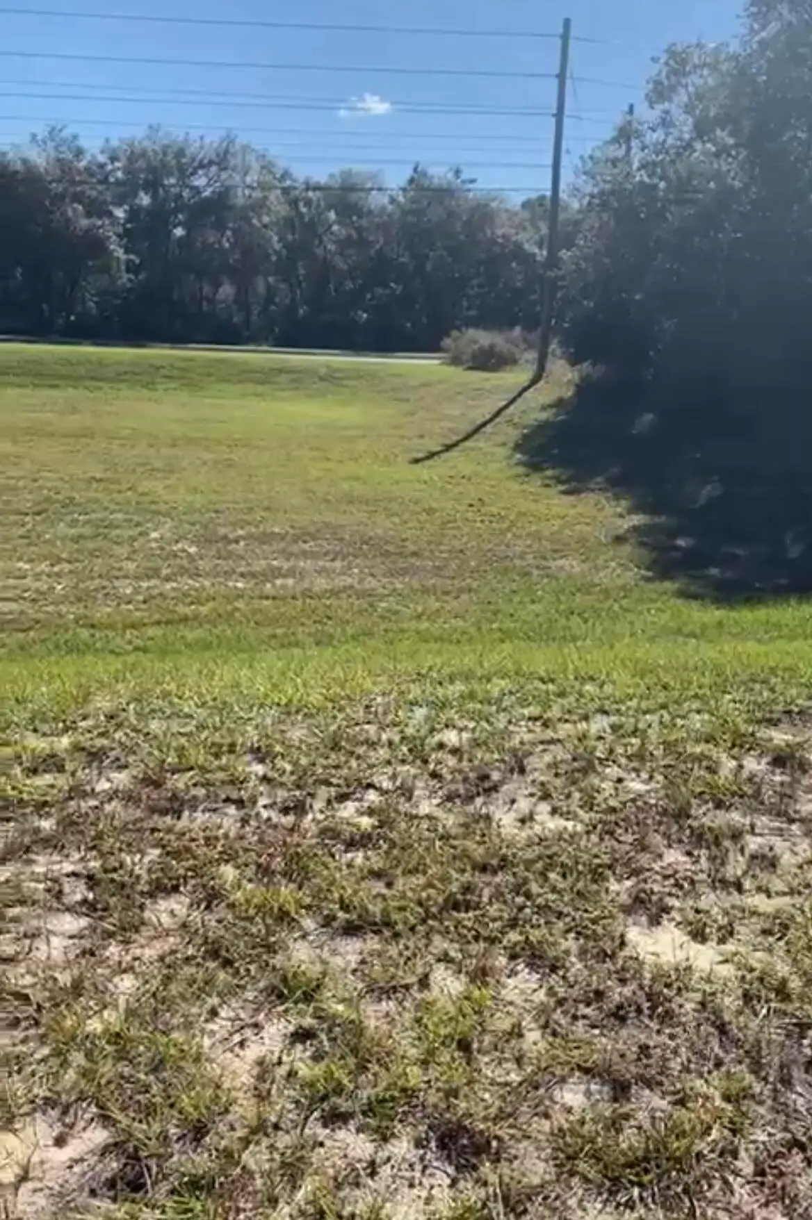 4017 SW 133rd Loop, Ocala, FL 34473 - #1