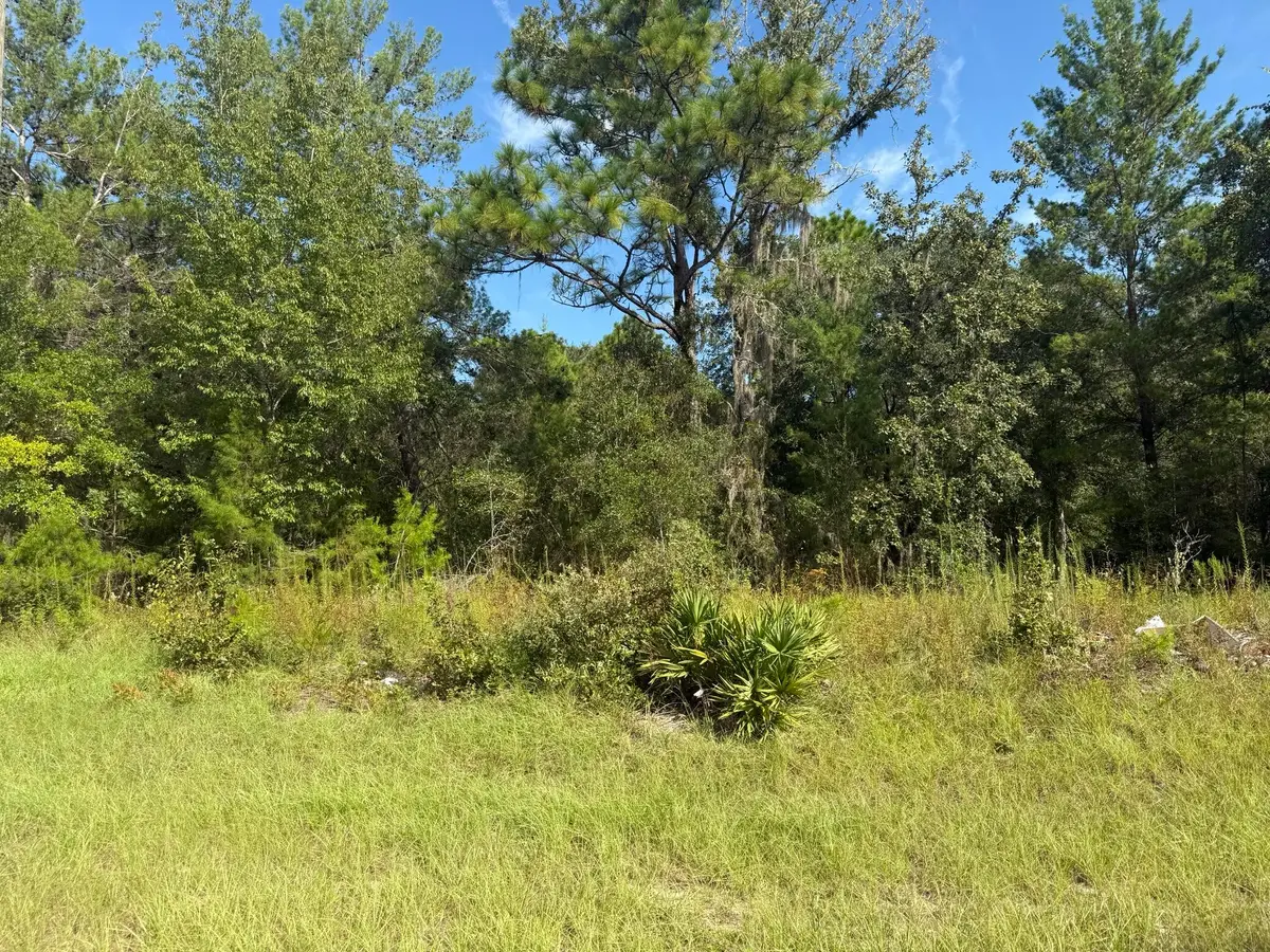 Tbd 79th Terrace Road, Marion Oaks, FL 34432 - #1