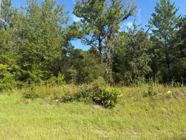 Tbd 79th Terrace Road, ,, FL 34432