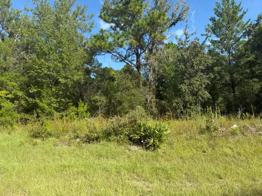 Tbd 79th Terrace Road, Marion Oaks, FL 34432 - #2