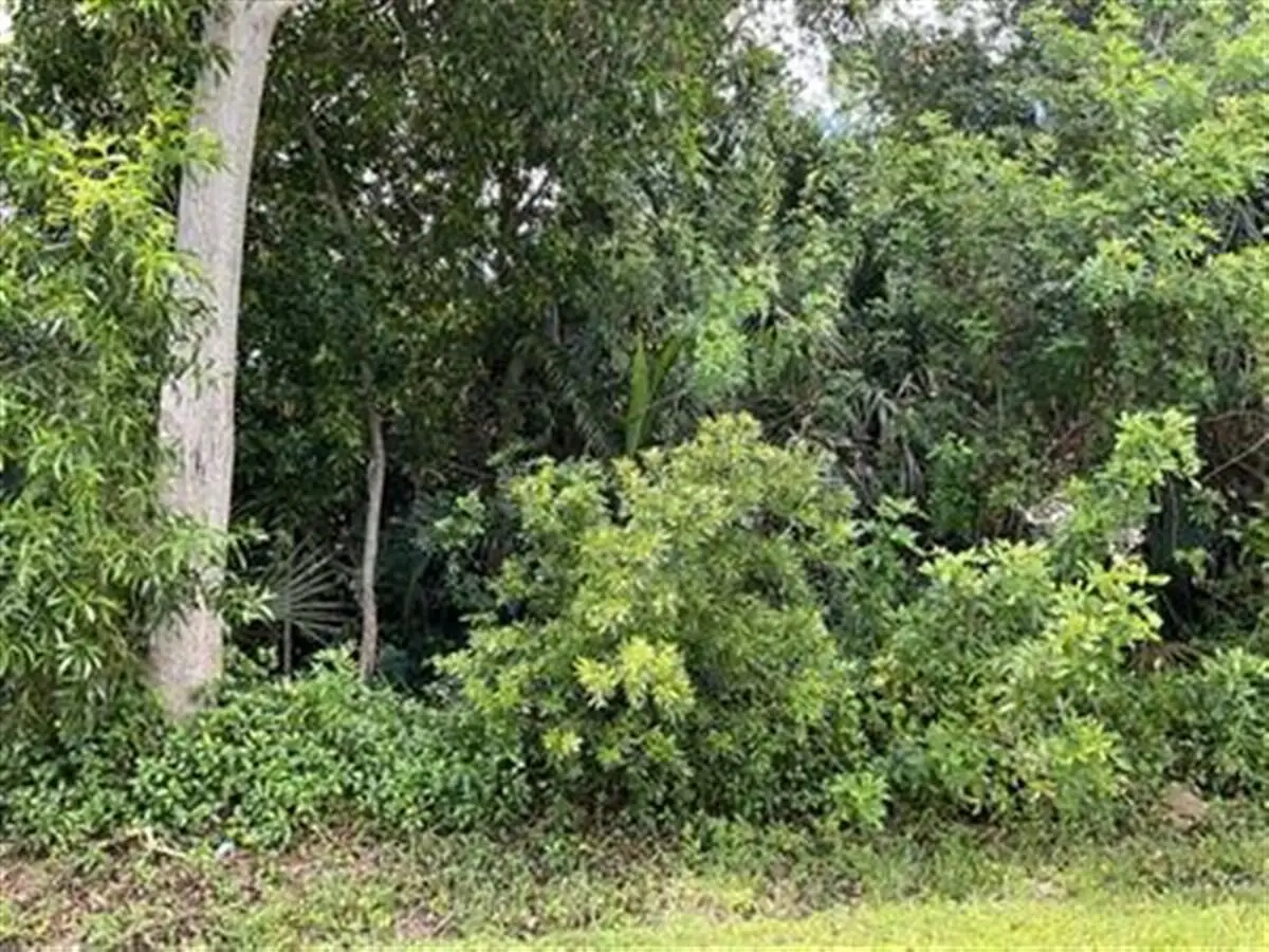 1858 SE North Buttonwood Drive, Port Saint Lucie, FL 34952 - #1