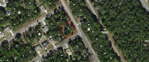 125 W Ruska Place, ,, FL 34434