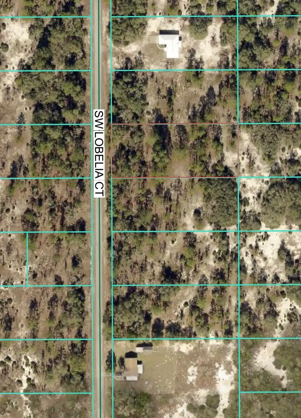 Tbd Lot 32 SW Lobelia Court, Rainbow Lakes Estates, FL 34431 - #1
