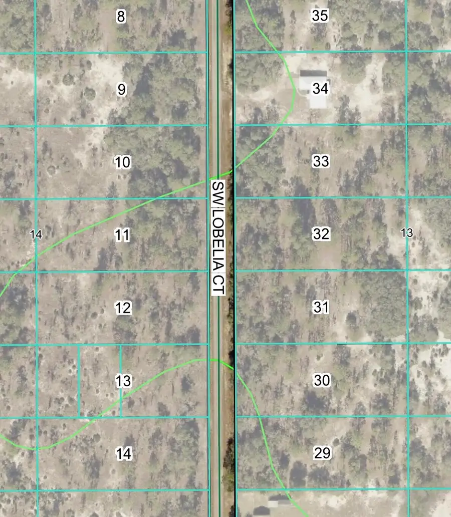 Tbd Lot 32 SW Lobelia Court, Rainbow Lakes Estates, FL 34431 - #3
