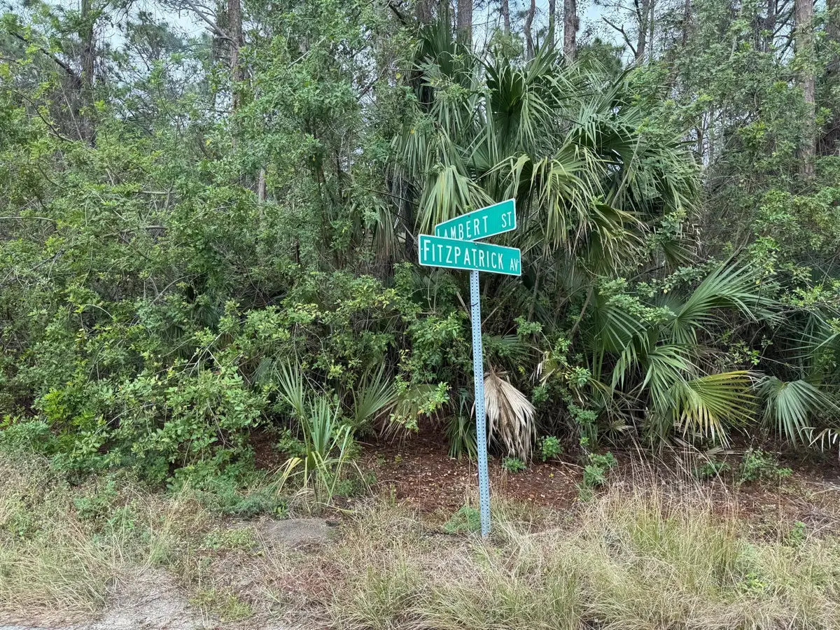 3395 Fitzpatrick Avenue Sw, Palm Bay, FL 32908 - #1