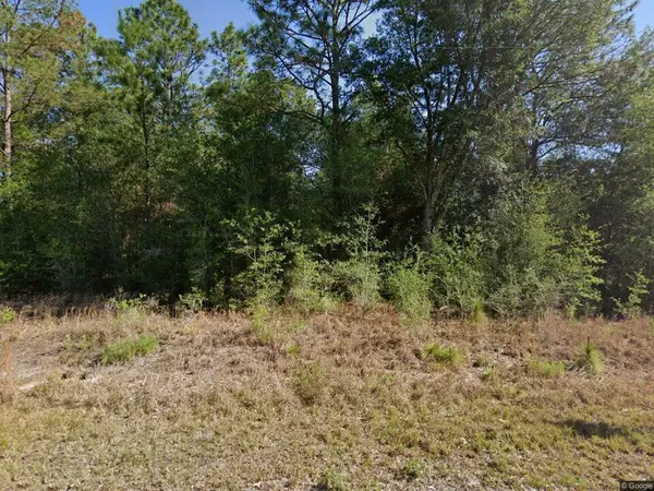 20313 SW Audubon Avenue, ,, FL 34431