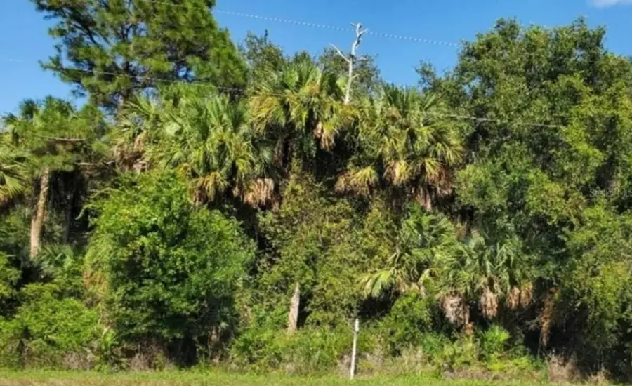 3804 Hwy 98 N, Okeechobee, FL 34972 - #2