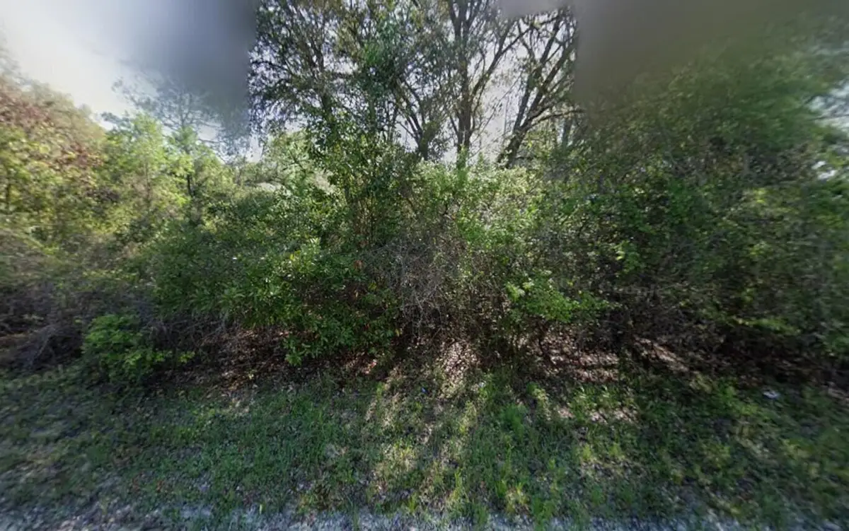 Tbd NE 799th Street, Cross City North, FL 32680 - #1